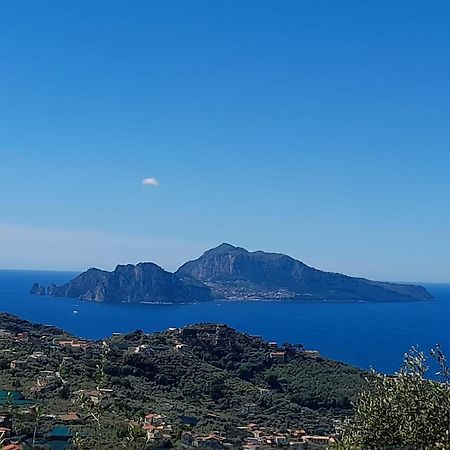 Villa Al Calar Del Sole Massa Lubrense Esterno foto
